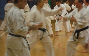 Le vesinet karate action