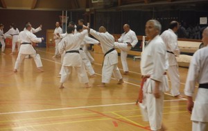 Le vesinet Karate : entrainement