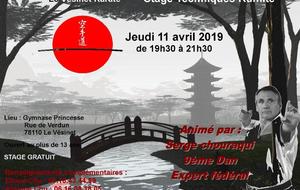 Stage Serge Chouraqui 9ème Dan 11 avril 2019