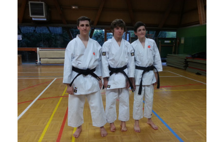 Ceintures noires du 23 mars 2014