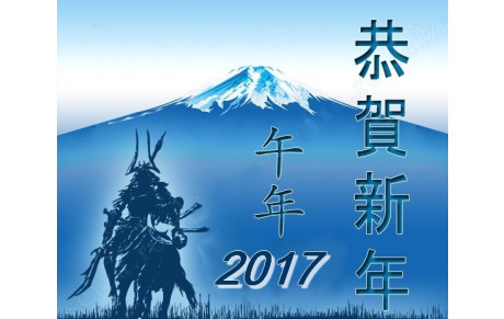 Vœux année 2017