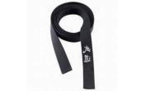 Maxime et Véronique 3ème Dan : Félicitations